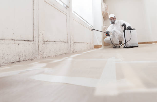 24/7 Emergency Mold Remediation experts in Dundee, OR