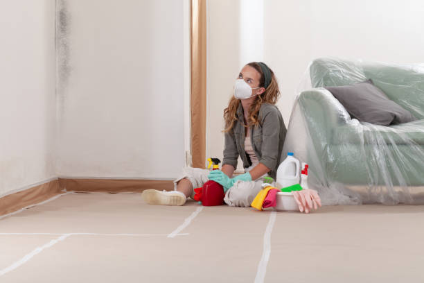 Reliable Mold Remediation contractor in Dundee, OR by 24 Hour Mold Removal